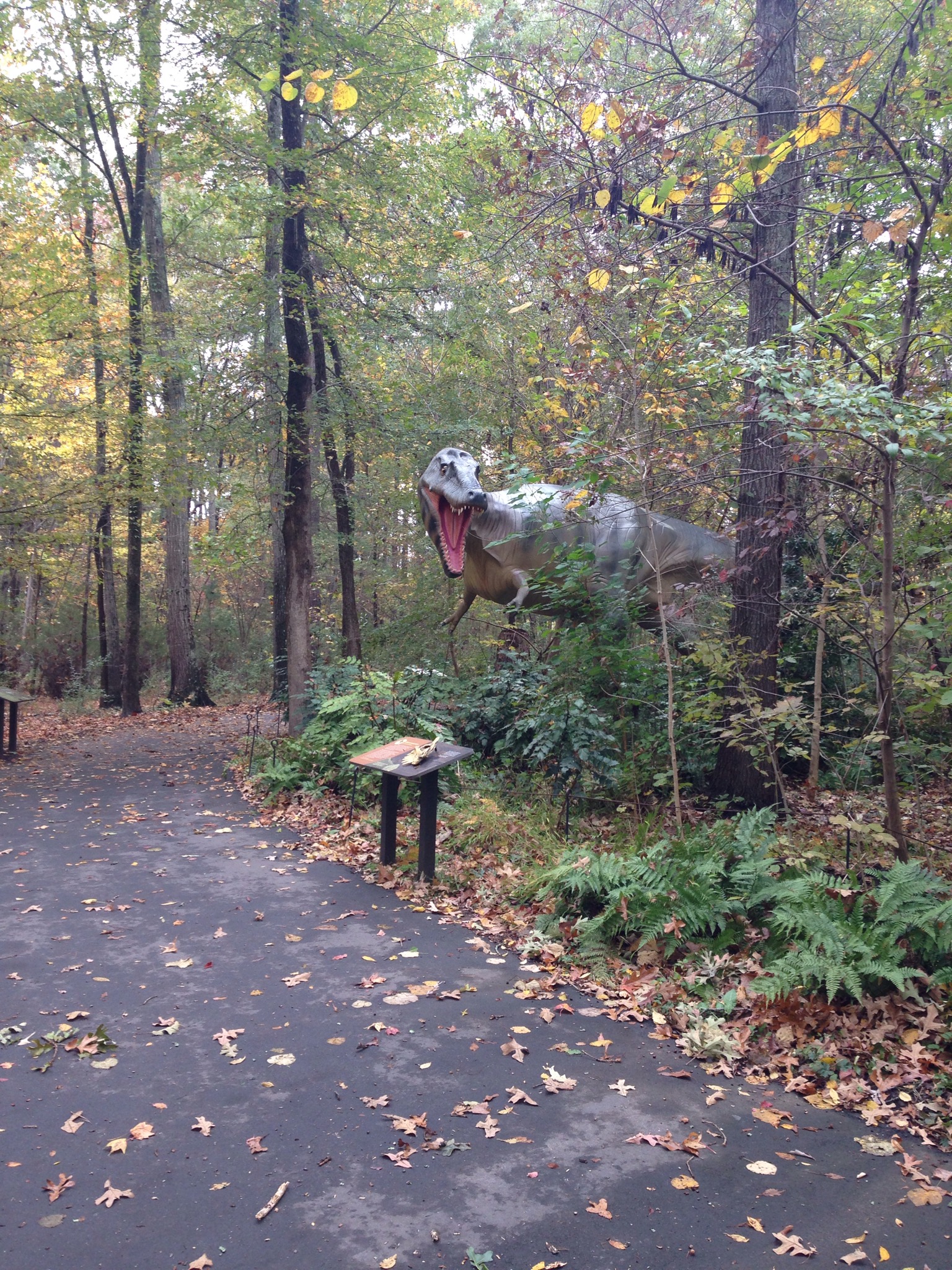 Dinosaur Walk at Durham Life & Science Museum