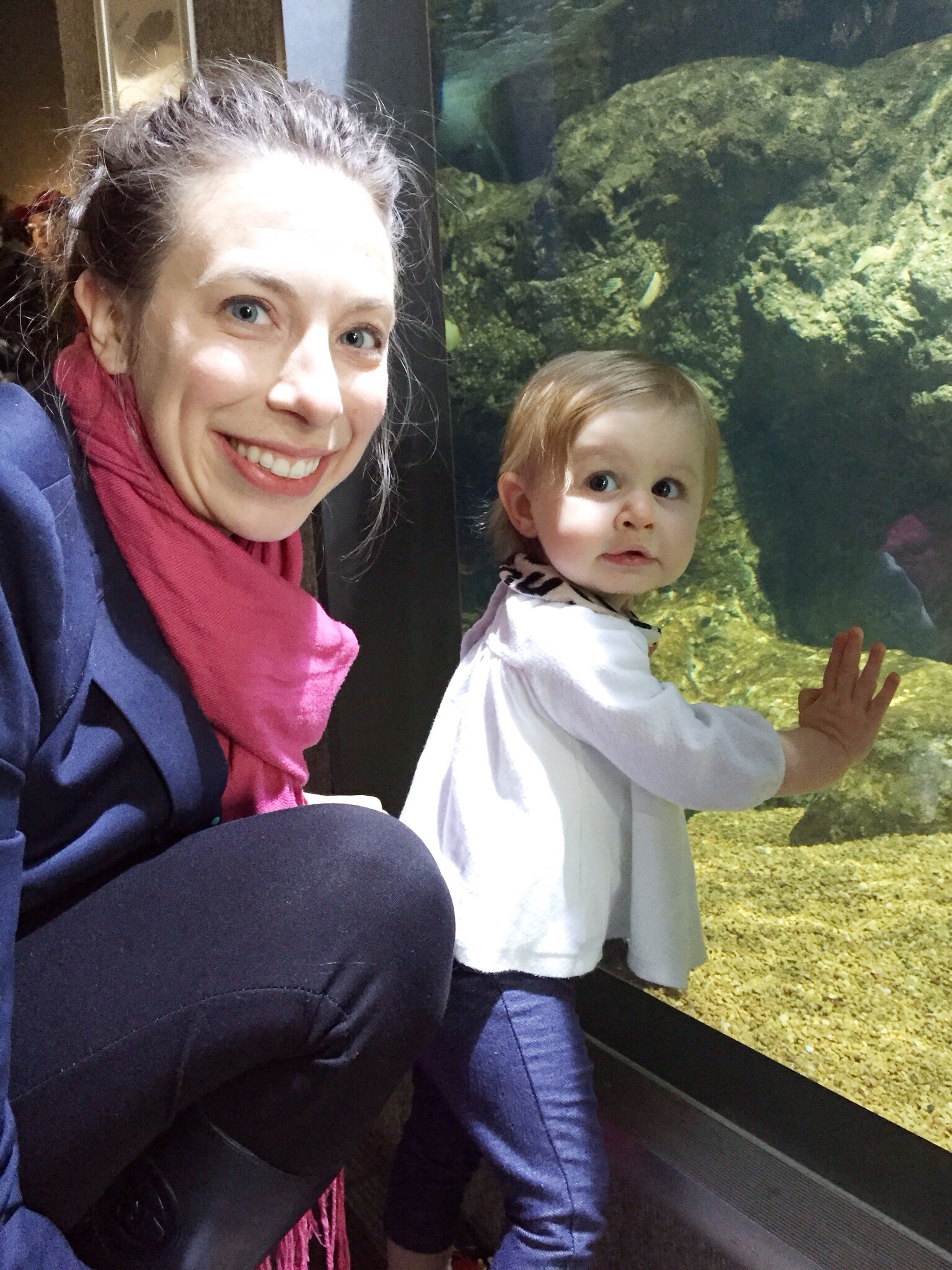 Visiting the Aquarium on Cup of Tea