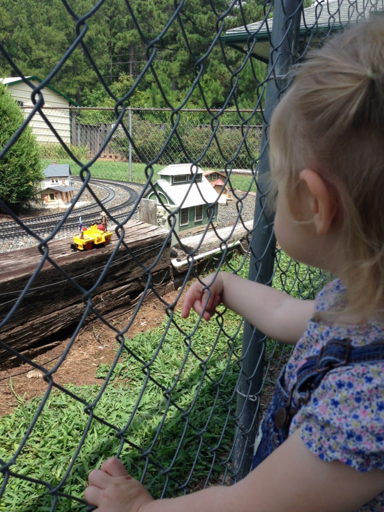 A family fun day at the New Hope Valley Railroad