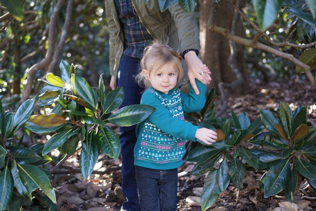 Taking your own family Christmas card photos!