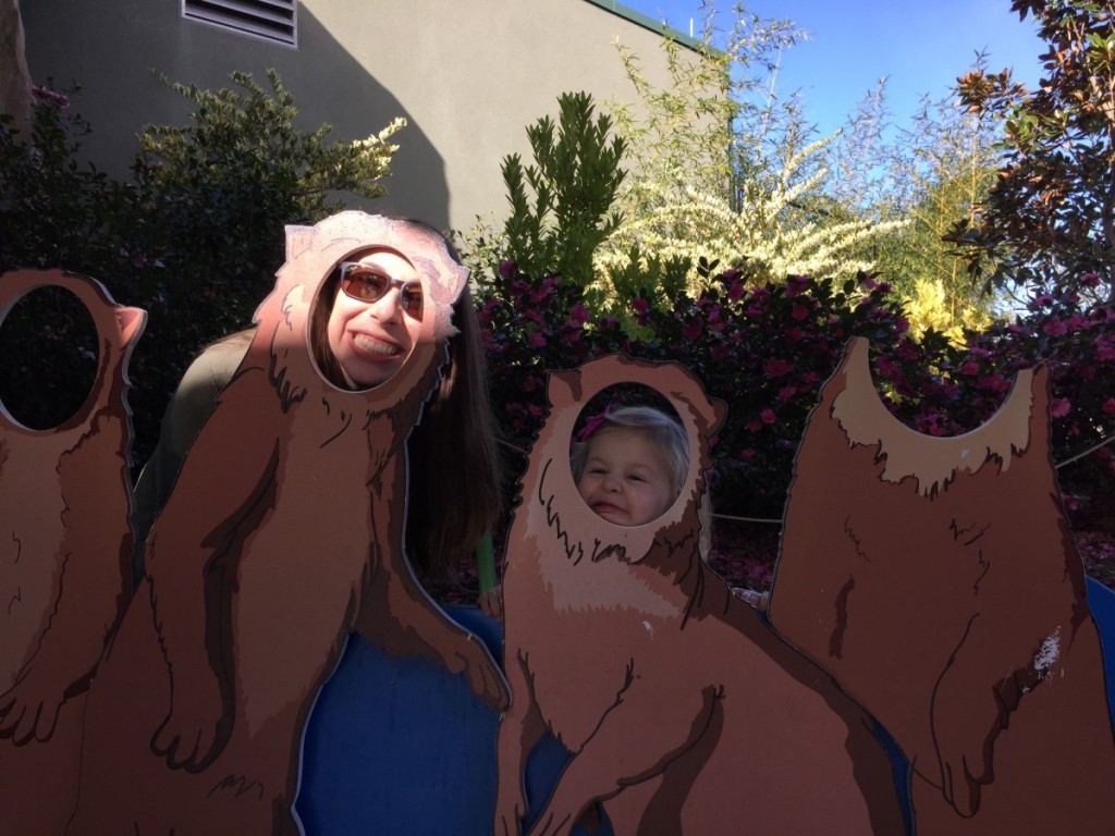 Thanksgiving fun at the zoo!