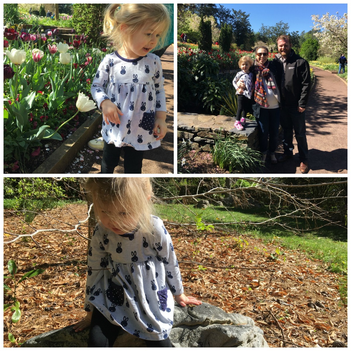 Spring at Duke Gardens