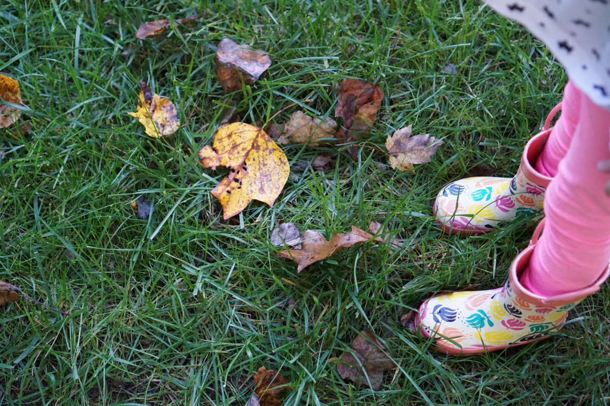 Loving the Fall weather!